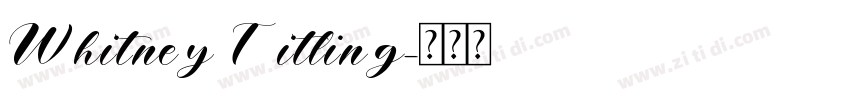 Whitney Titling字体转换